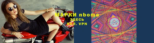 индика Богданович