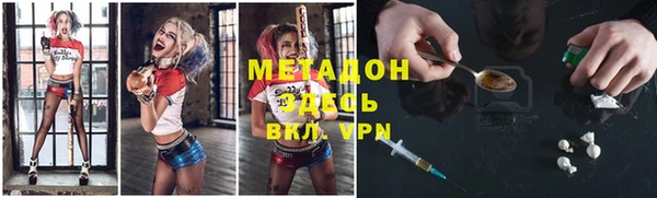 индика Богданович