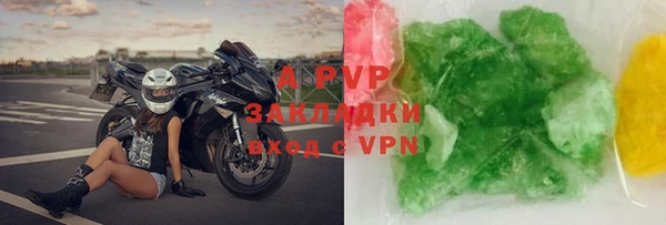 индика Богданович