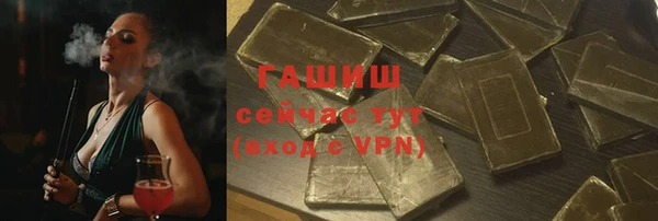 индика Богданович