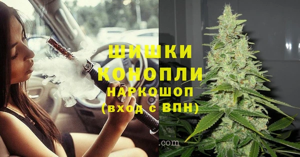 индика Богданович