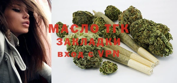 индика Богданович