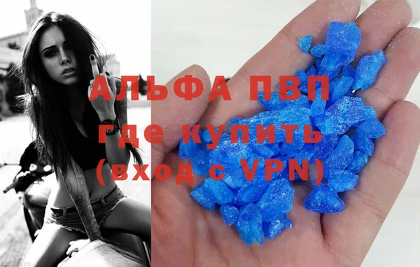 индика Богданович