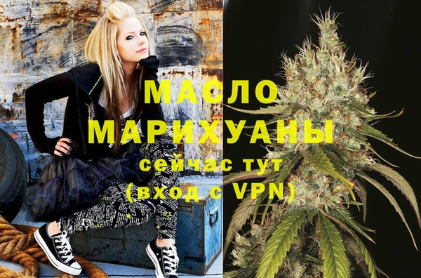 индика Богданович