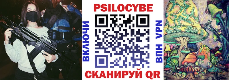 ОМГ ОМГ ТОР  цены   Ростов  Псилоцибиновые грибы прущие грибы 